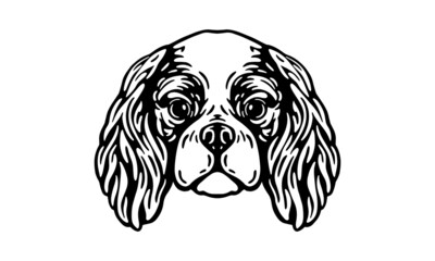 Cavalier King Charles Spaniel dog logo pet portrait - obrazy, fototapety, plakaty