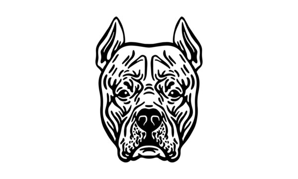 Argentine Dogo dog logo pet portrait
