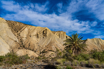 Tabernas desert, Desierto de Tabernas near Almeria, andalusia region, Spain