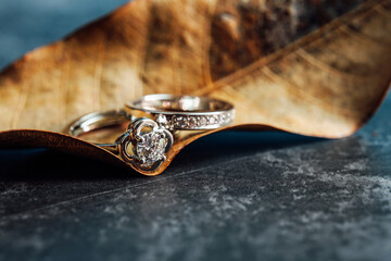 Closeup of a diamond engagement ring placed on a leaf. Love and wedding concept.  