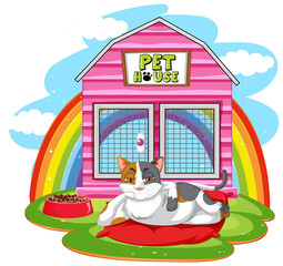 A cat outside the cat house