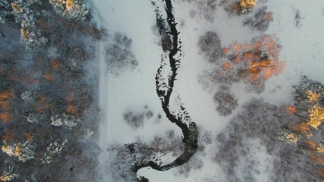 Unfrozen river in winter. Falling snow flakes. Winter coniferous white forest