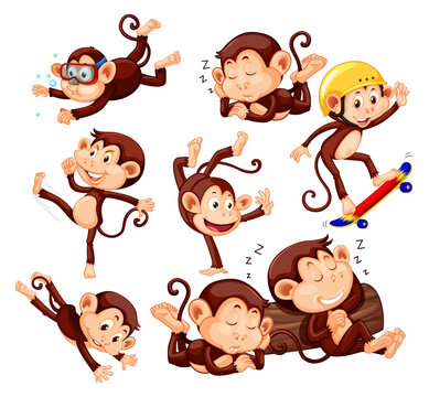 Set of different poses of monkeys cartoon characters