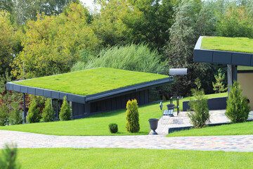 A modern village with turf roofs. Scandinavian type of green roof covered with sod on top. - obrazy, fototapety, plakaty