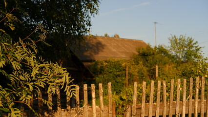 Obraz premium Beautiful rustic summer landscape. Old wooden log houses. Vologda region