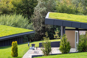 Fototapeta A modern village with turf roofs. Scandinavian type of green roof covered with sod on top. obraz
