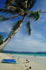 Picturesque view of coconut palm tree, surf board and scenic white beach in Boracay Island, Philippines.