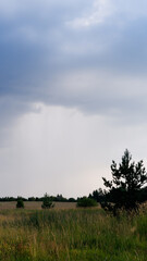 Beautiful landscape field on a summer day. Rural scene