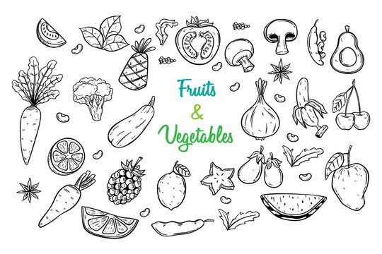 fruit and vegetables collection with hand drawing or doodle style