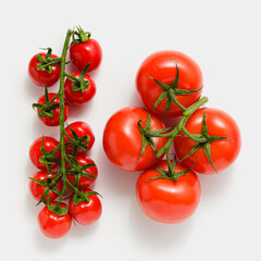 Various tomatoes on branches on white background.