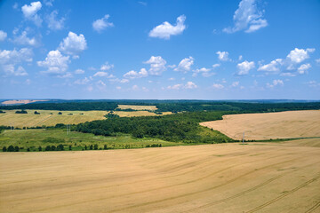 Aerial landscape view of yellow cultivated agricultural field with ripe wheat on bright summer day