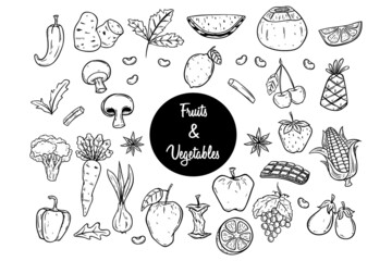 collection of fruit and vegetables with hand drawing or sketchy style