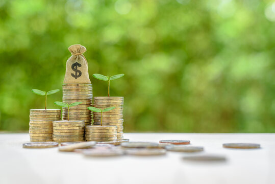 Wealth Or Asset Management For Long-term Growth Concept : US Dollar Bag, Green Sprout On Coins, Depicts Investment / Strategy Focused On Growth Of An Investor's Capital Who Invest In Growth Stocks