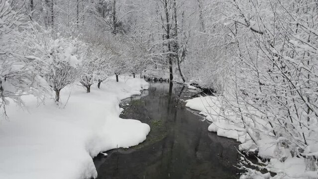 Unfrozen river in winter. Falling snow flakes. Winter coniferous white forest