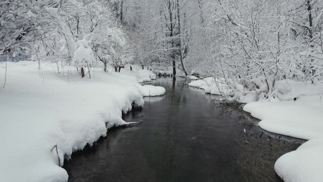 Unfrozen river in winter. Falling snow flakes. Winter coniferous white forest