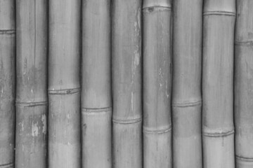 Grey wooden background. The texture of a bamboo fence.