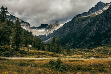 Fototapeta premium landscape in the mountains