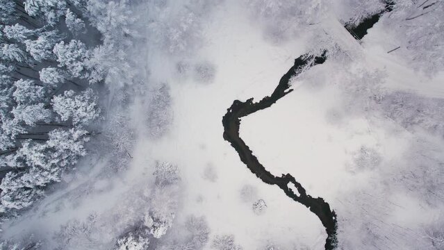 Unfrozen river in winter. Falling snow flakes. Winter coniferous white forest