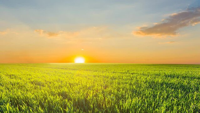 quet green rural field at the sunset, agricultural time lapse scene