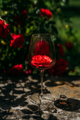 glass of red wine