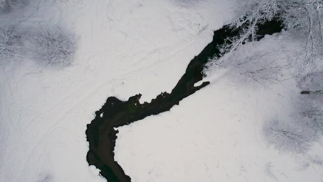 Unfrozen river in winter. Falling snow flakes. Winter coniferous white forest