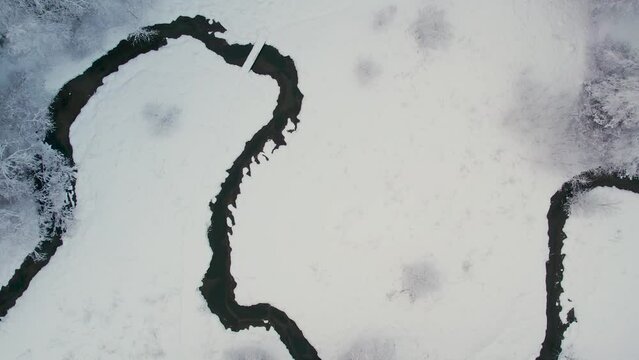 Unfrozen river in winter. Falling snow flakes. Winter coniferous white forest