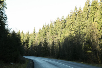 Naklejka premium Road in Ukrainian Carpathian mountains in sunny day
