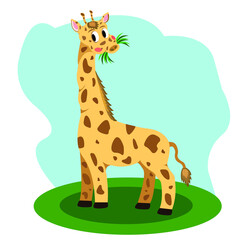 Obraz premium Giraffe on the lawn chewing grass