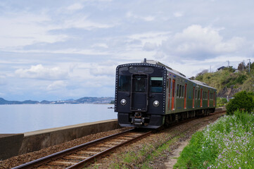 Fototapeta na wymiar 波静かな海岸線を走る列車