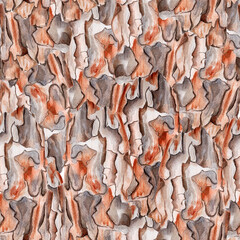 Pine bark watercolor seamless pattern. Template for decorating designs and illustrations.	
