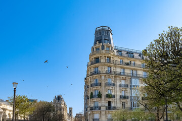 Paris, luxury parisian facade - obrazy, fototapety, plakaty
