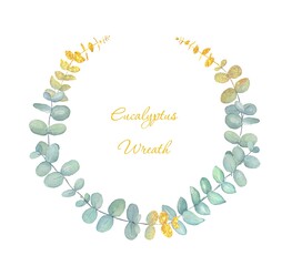 A wreath of eucalyptus leaves. Watercolor illustration