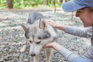 Young woman with her husky dog outside in the yard.
