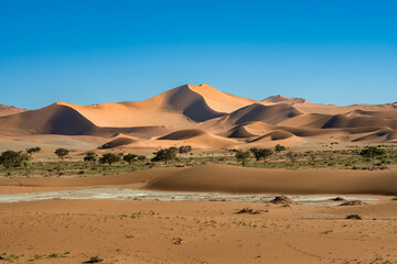 Namibia, the Namib desert