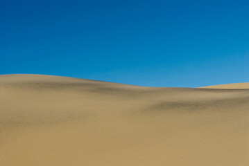 Desert landscape. Sand dunes against blue sky.