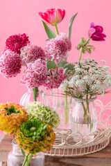 Obraz na płótnie Canvas スカビオサ　春の花 　ピンク色の背景