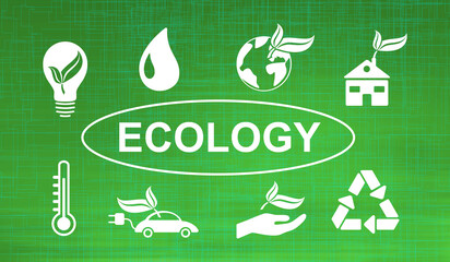 Concept of ecology