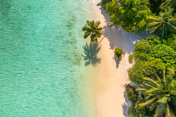 Aerial top view on sand beach. Tropical beach with white sand turquoise sea, palm trees under sunlight. Drone view, luxury travel destination scenic, vacation landscape. Amazing nature paradise island