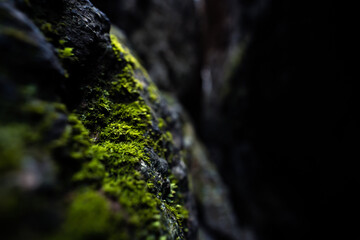 Macro close-up view of a cold rock with some moss
