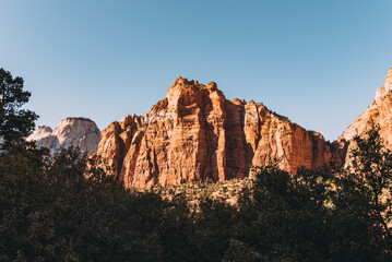 Fototapeta premium Felsen im Abendlicht im Zion Nationalpark in Utah USA