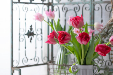 チューリップとアンアンフェンス