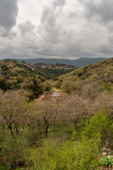 View from Kiryat Tivon of the hills, valley between, homes near the town center and the carmel mountains in the background on a clouy day in Israel.
