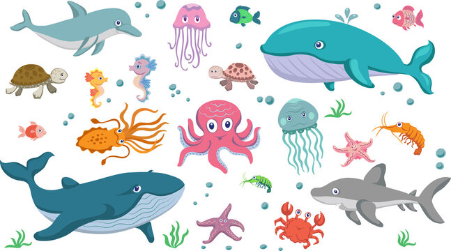 Marine life, set, sea animals and fish, various poses and situations, drawing, vector, images, cartoon