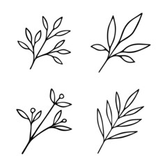Hand drawn branches set in doodle style. Twigs elements in sketch style. Vector illustration isolated on white background.