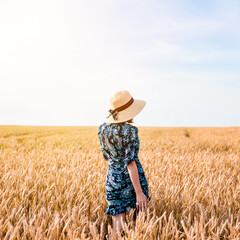Naklejka na ściany i meble Beautiful girl in a wheat field