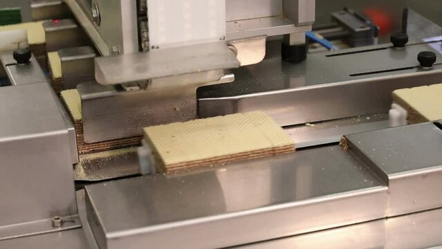 conveyor in the confectionery shop for the production and assembly of chocolate wafers
