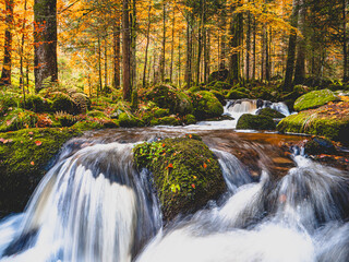 Beautiful shot of a waterfall view in an autumn forest - obrazy, fototapety, plakaty