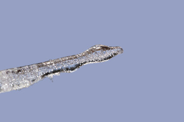Original icicle on blue background