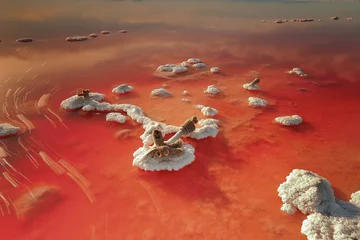 Foto op Plexiglas Rood Gekristalliseerd zout in een rode zee.
