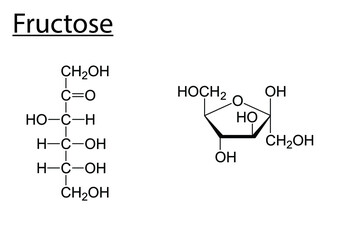 Chemical formula of fructose (sugar) - obrazy, fototapety, plakaty